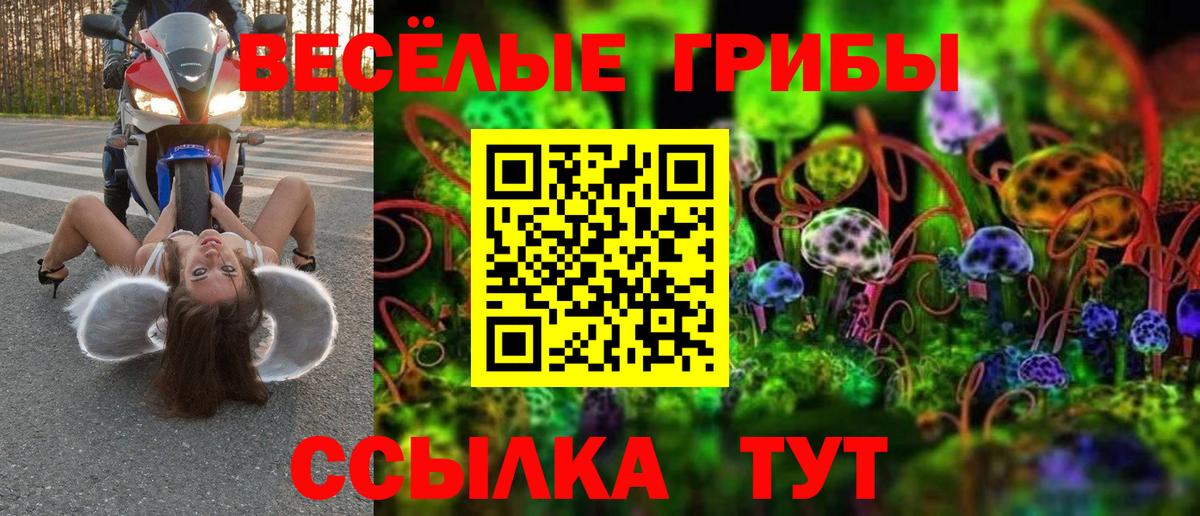 Долгопрудный  Псилоцибиновые грибы мицелий  Вход с VPN 